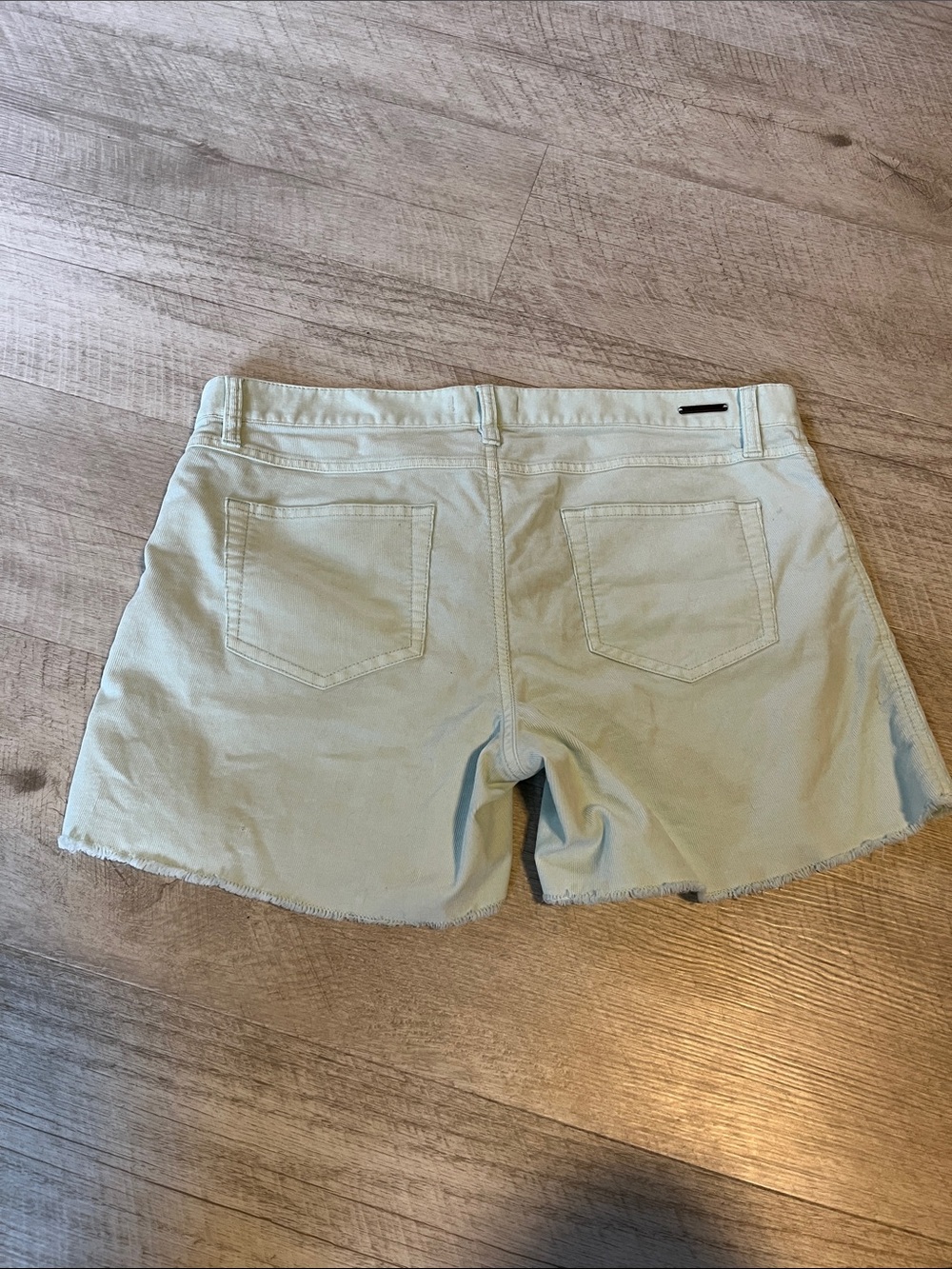 Carve Designs Mint and White Frayed Hem corduroy shorts - Picture 4 of 7